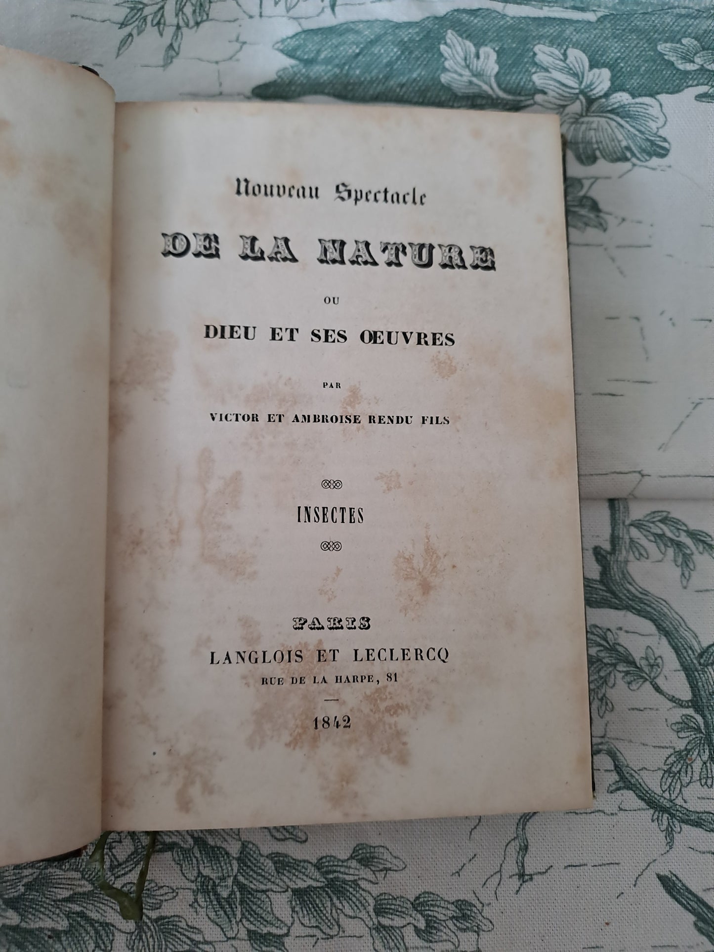 Insectes/ mollusques articulés. Nouveau spectacle de la nature ou Dieu et ses œuvres. 1842. Ancien livre vintage catholique.