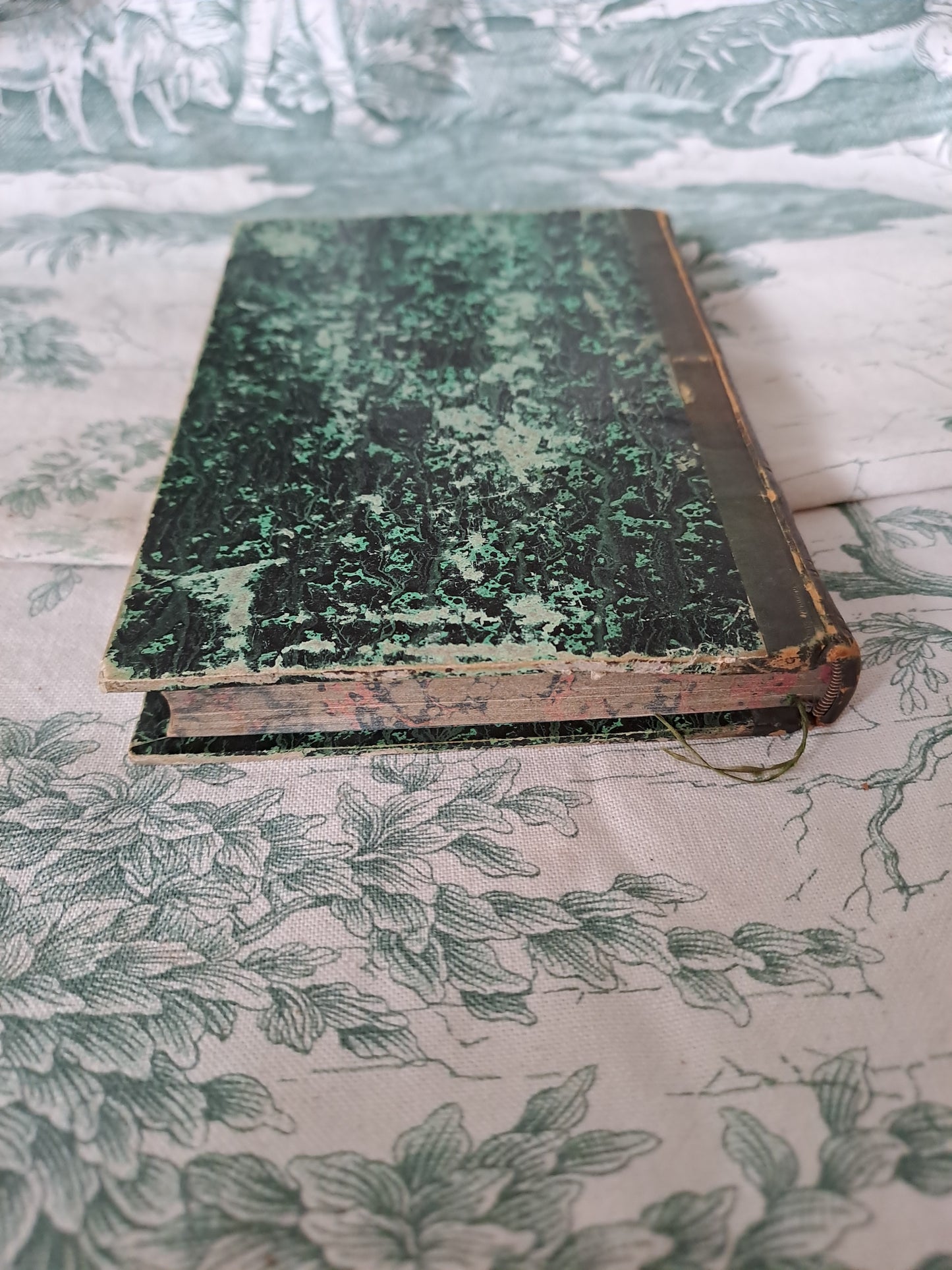 Oiseaux / reptiles et poissons. Nouveau spectacle de la nature ou Dieu et ses œuvres. 1842. Ancien livre vintage catholique.