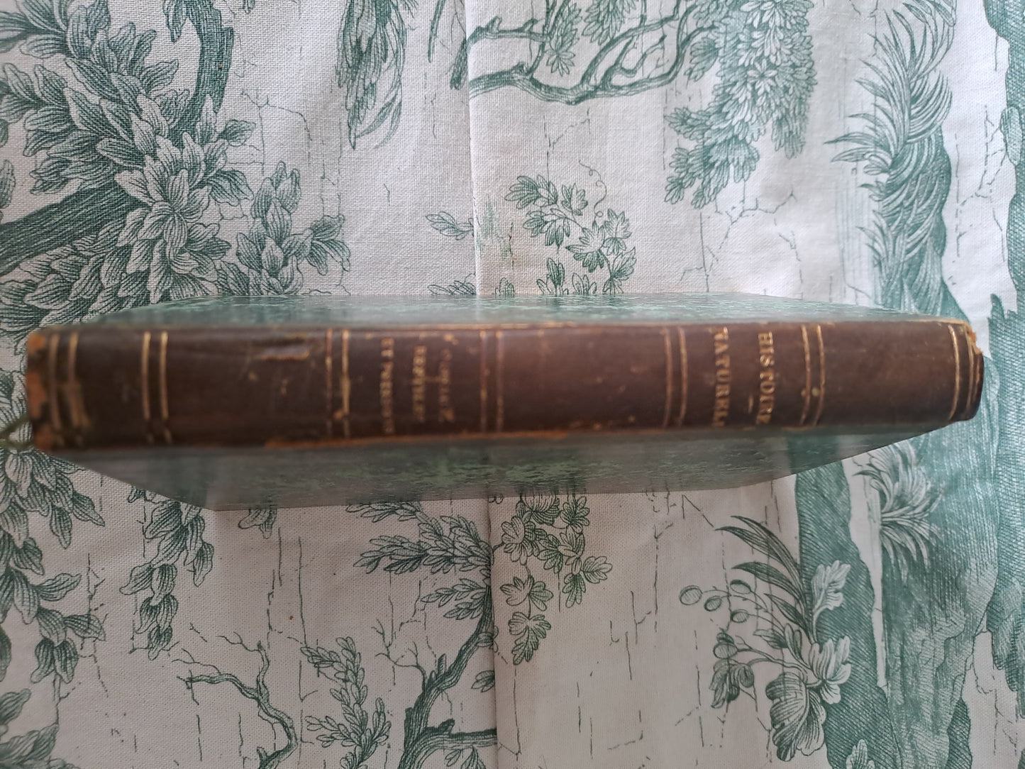 Oiseaux / reptiles et poissons. Nouveau spectacle de la nature ou Dieu et ses œuvres. 1842. Ancien livre vintage catholique.