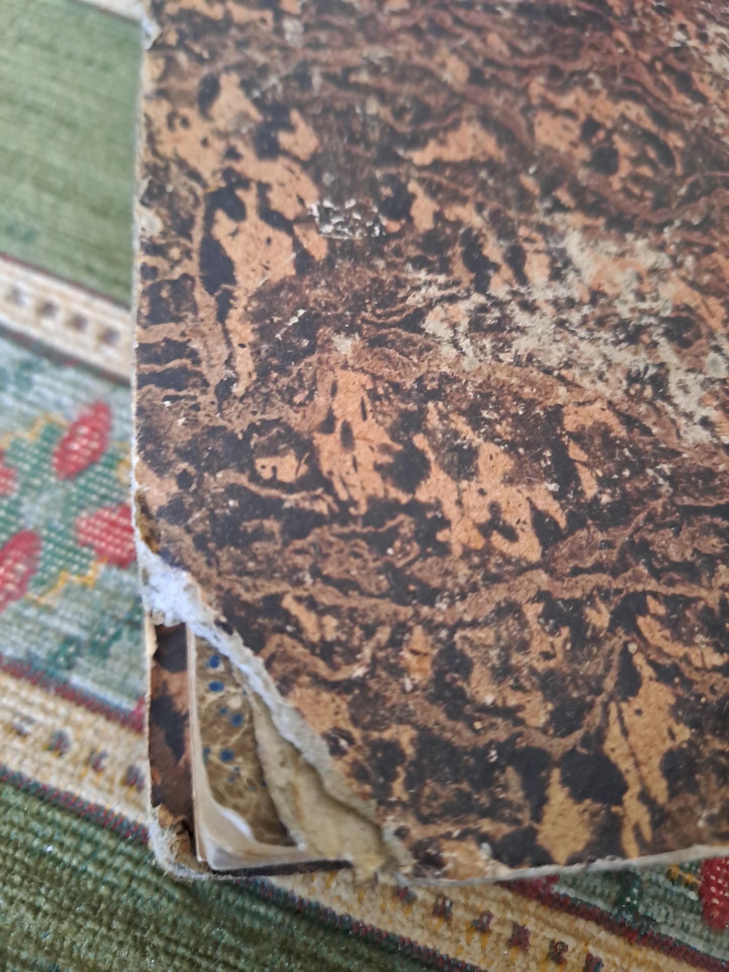 Bible T11. 1835. R. P  De Carrières Commentaires De Menochius.