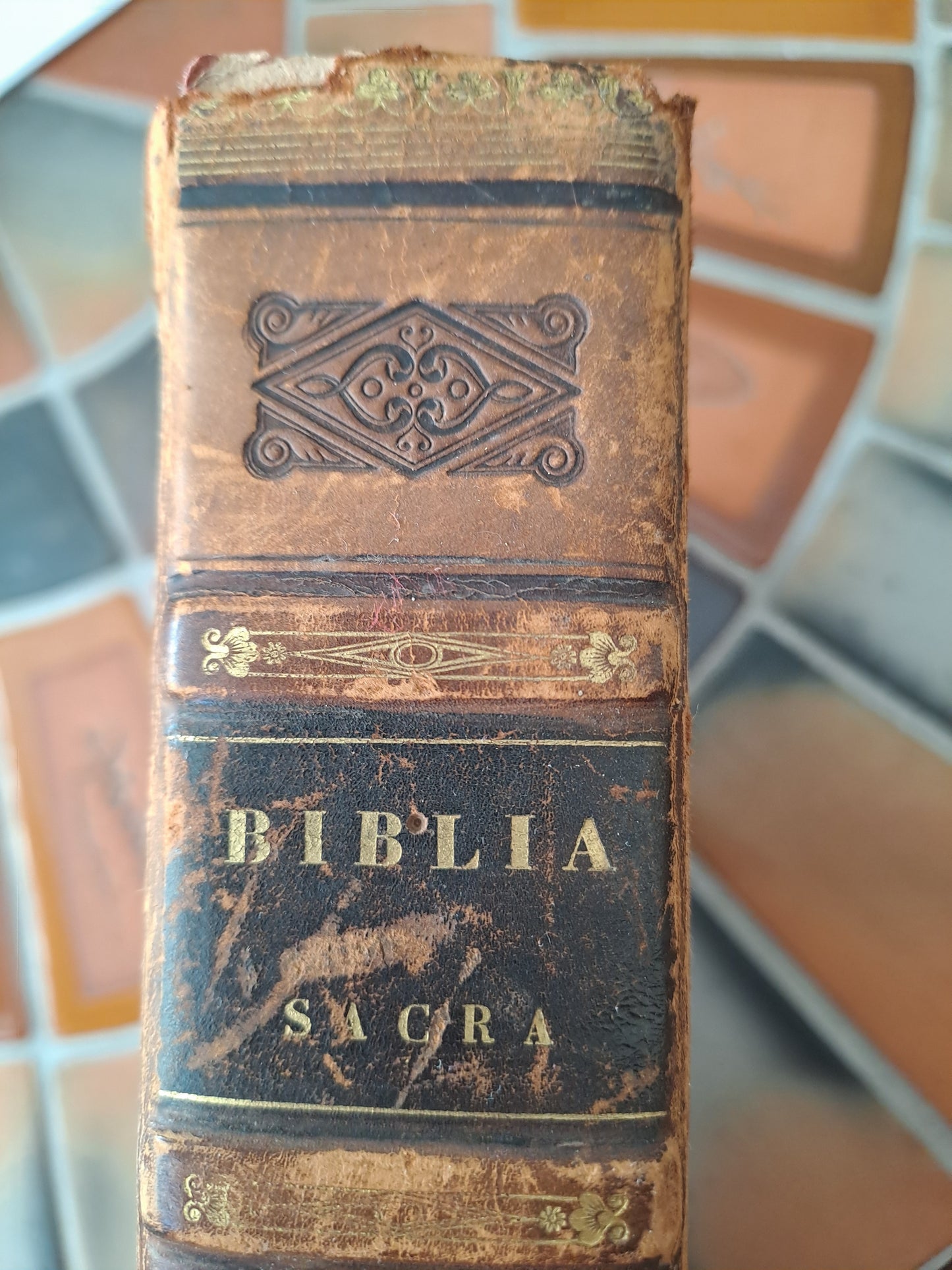 Biblia sacra Vulgate editionis Sixti V pontificus maximi Jessu recognita Clementis VIII Auctoritate edita. 1827.
