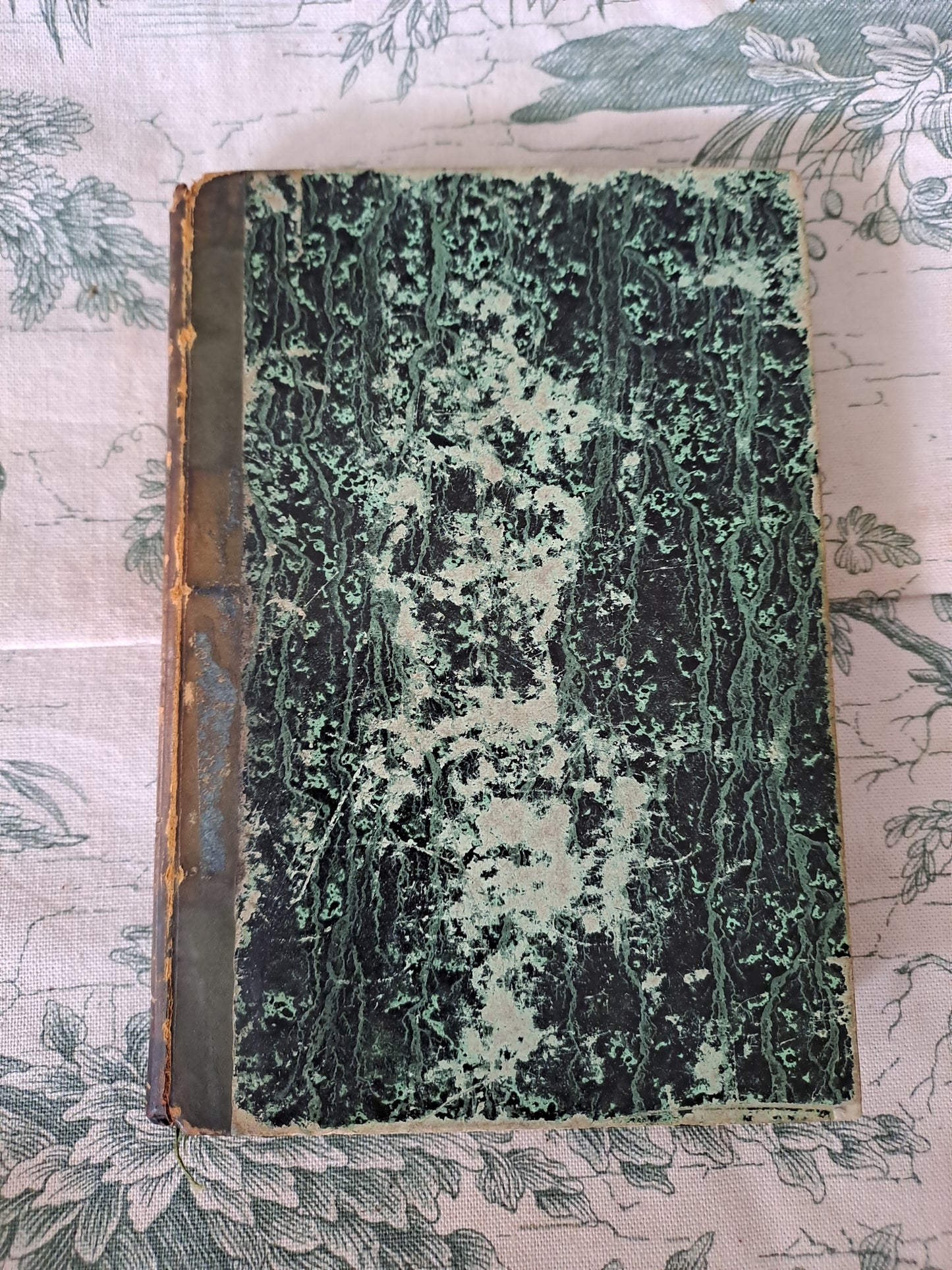 L'homme et mammifères.Nouveau spectacle de la nature ou Dieu et ses œuvres. 1842. Ancien livre vintage catholique.