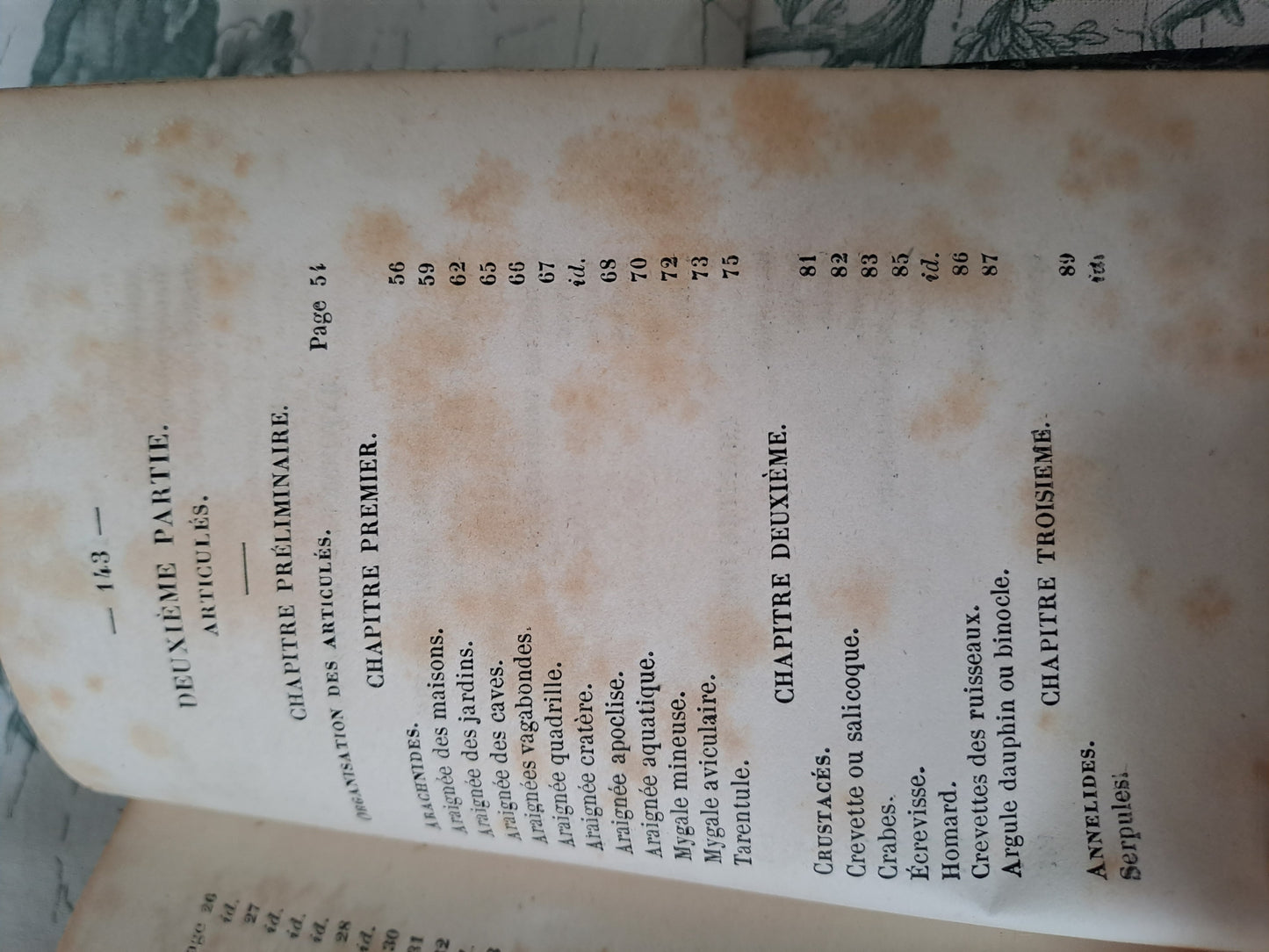 Insectes/ mollusques articulés. Nouveau spectacle de la nature ou Dieu et ses œuvres. 1842. Ancien livre vintage catholique.