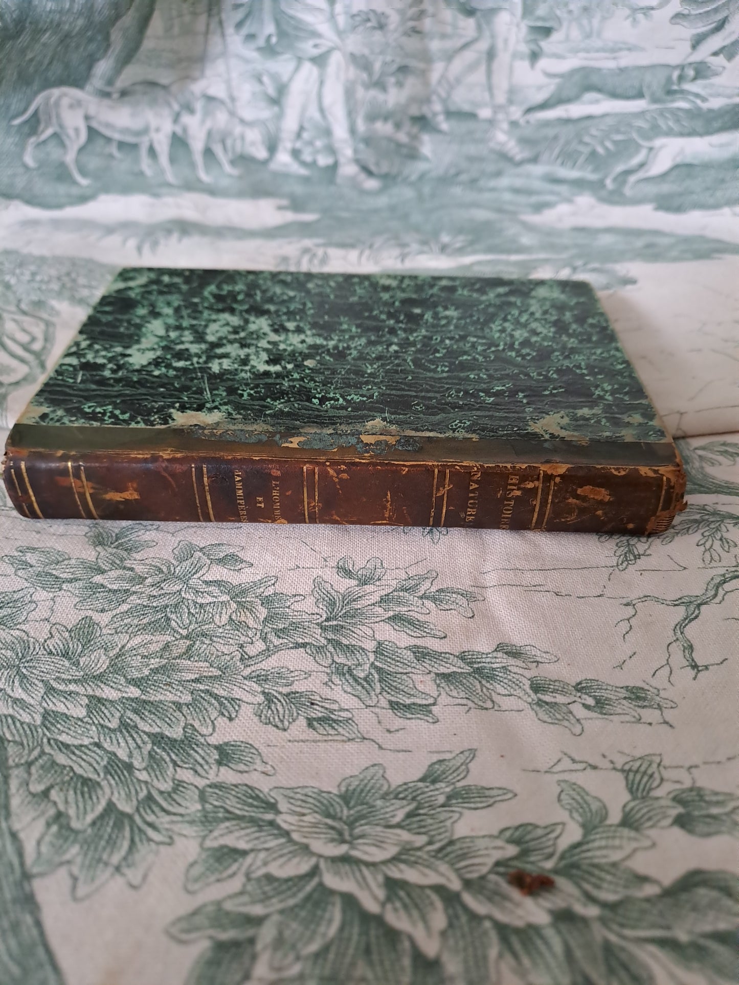 L'homme et mammifères.Nouveau spectacle de la nature ou Dieu et ses œuvres. 1842. Ancien livre vintage catholique.