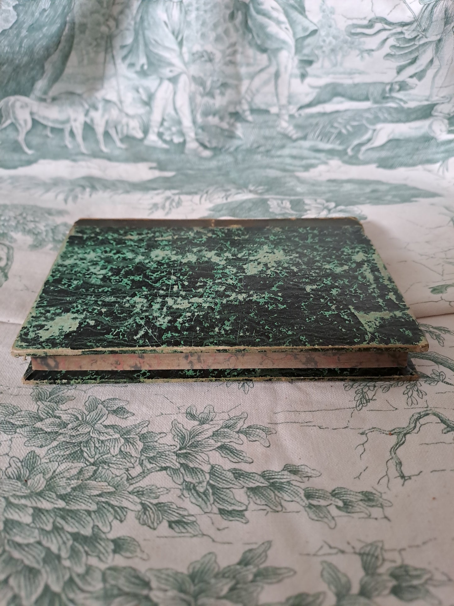 Oiseaux / reptiles et poissons. Nouveau spectacle de la nature ou Dieu et ses œuvres. 1842. Ancien livre vintage catholique.