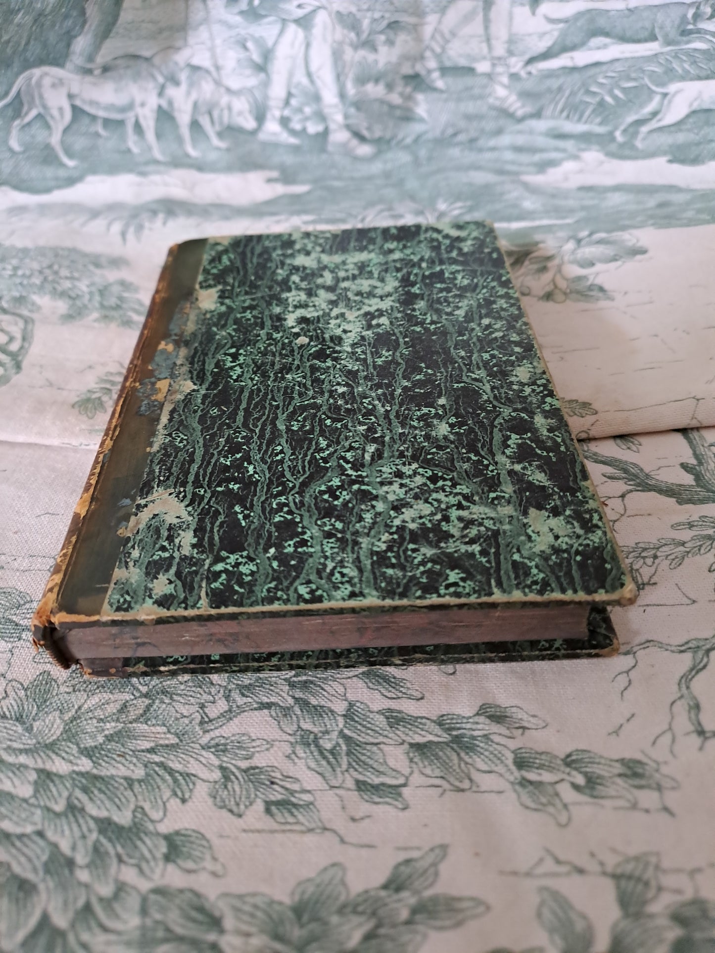 L'homme et mammifères.Nouveau spectacle de la nature ou Dieu et ses œuvres. 1842. Ancien livre vintage catholique.