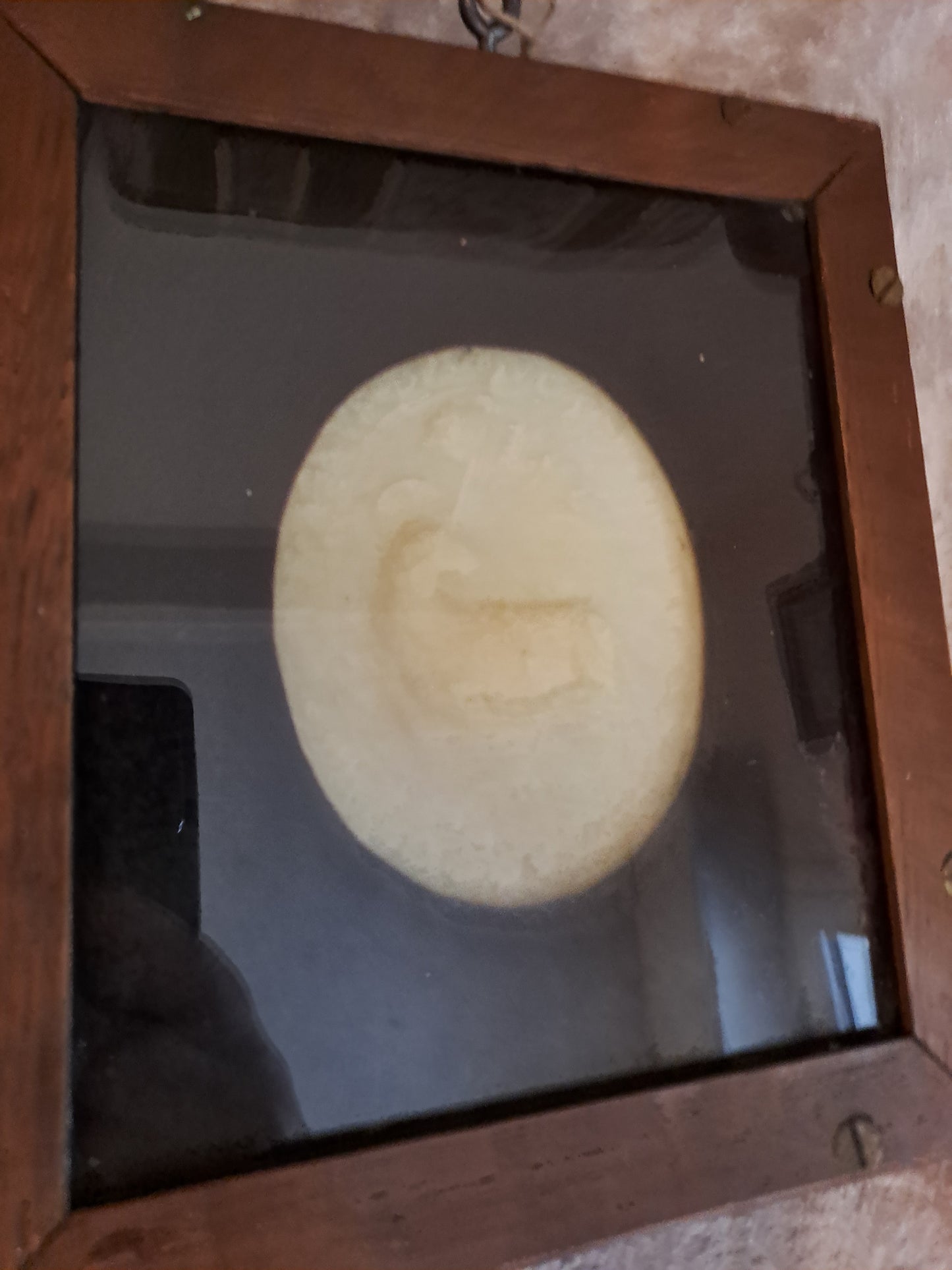 Agnus Dei. Pie IX.
Pie IX a été pape de 1946 à 1878.