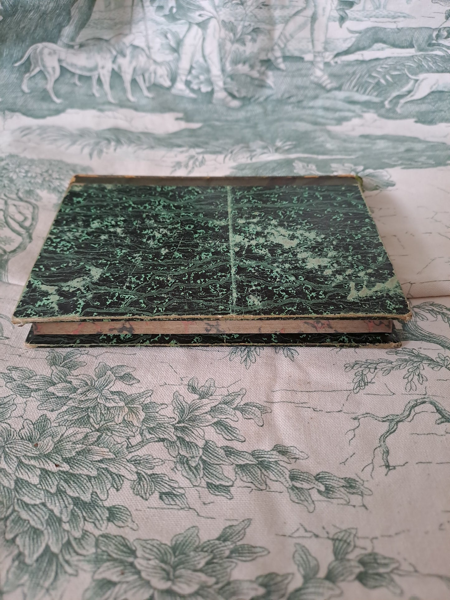 Insectes/ mollusques articulés. Nouveau spectacle de la nature ou Dieu et ses œuvres. 1842. Ancien livre vintage catholique.