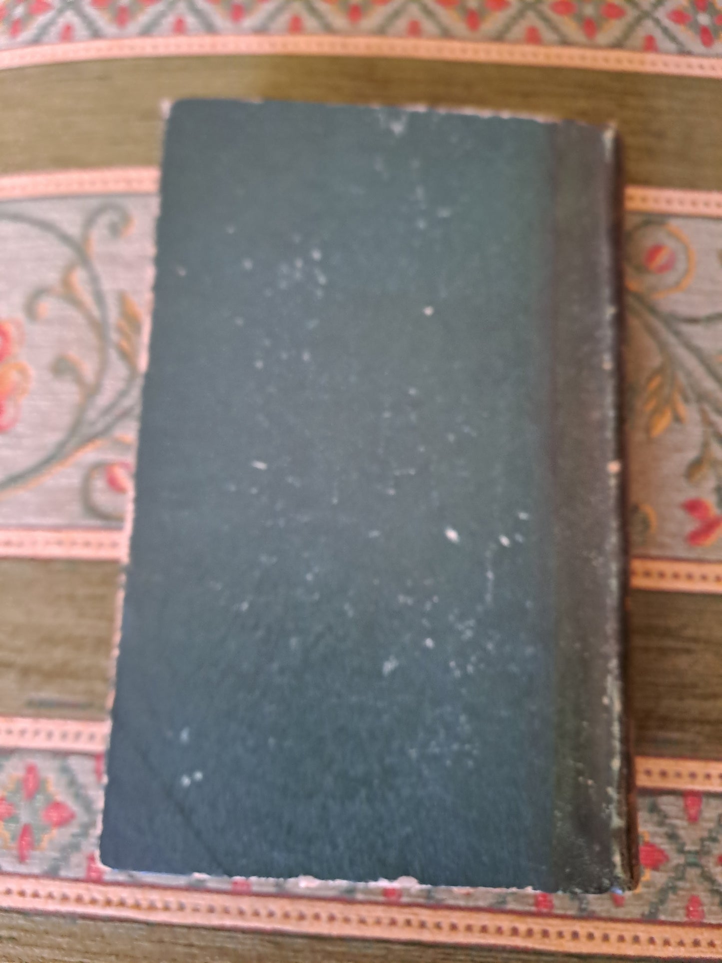 Bible par Révérend Père De Carrière commentaire de Menochius. 1854.