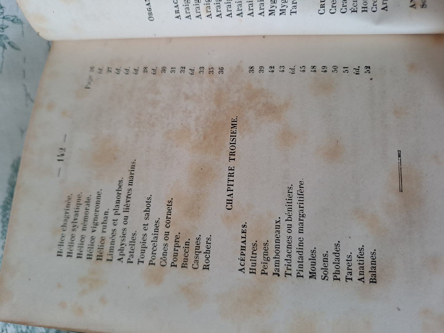 Insectes/ mollusques articulés. Nouveau spectacle de la nature ou Dieu et ses œuvres. 1842. Ancien livre vintage catholique.