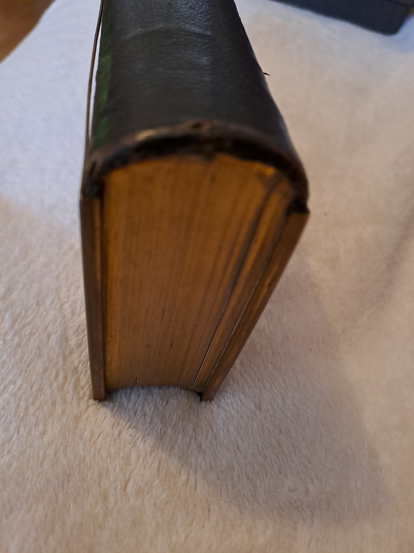 Paroissien à l'usage des diocèses qui suivent le rite de Paris contenant les offices de tous les dimanches.....