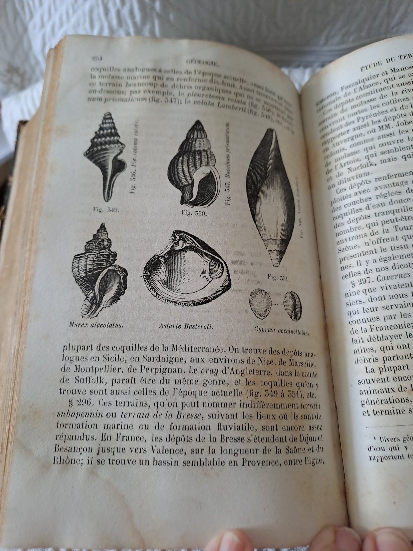 Cours élémentaire d'histoire naturelle  minéralogie et géologie. Par Beudant. 1858. Ancien livre vintage catholique.