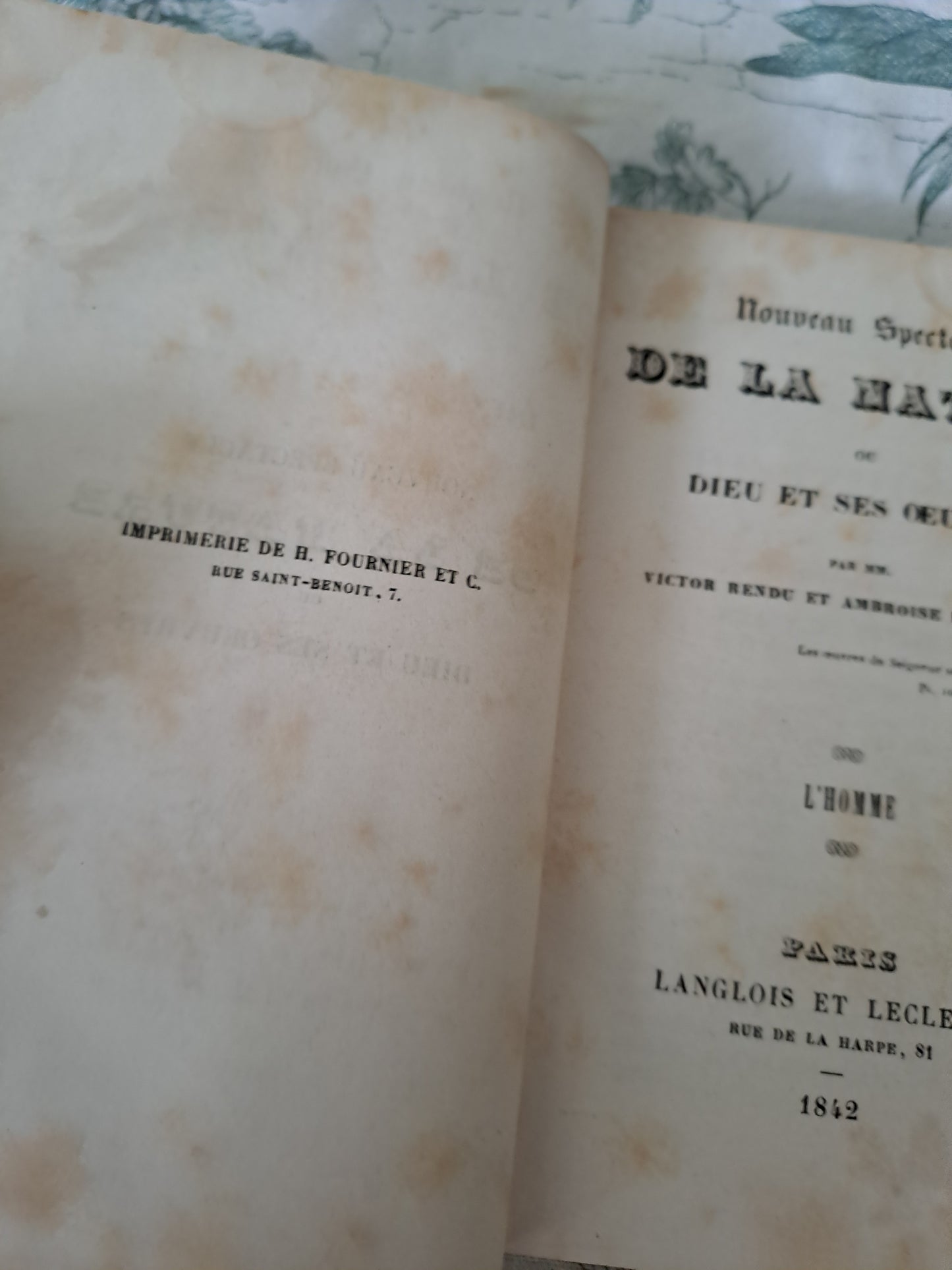 L'homme et mammifères.Nouveau spectacle de la nature ou Dieu et ses œuvres. 1842. Ancien livre vintage catholique.