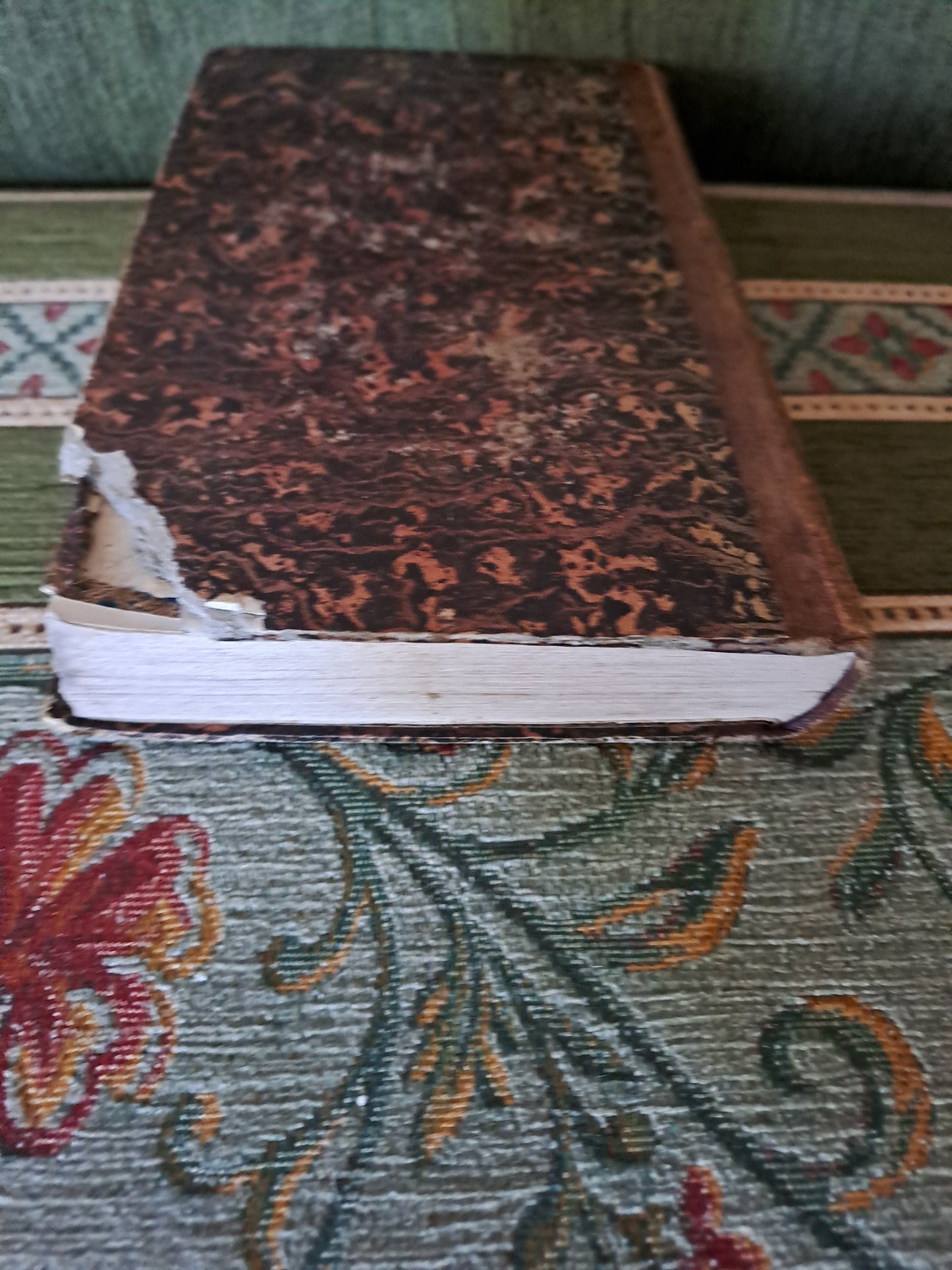 Bible. T1. 1835. R P De Carrières Commentaires De Menochius.