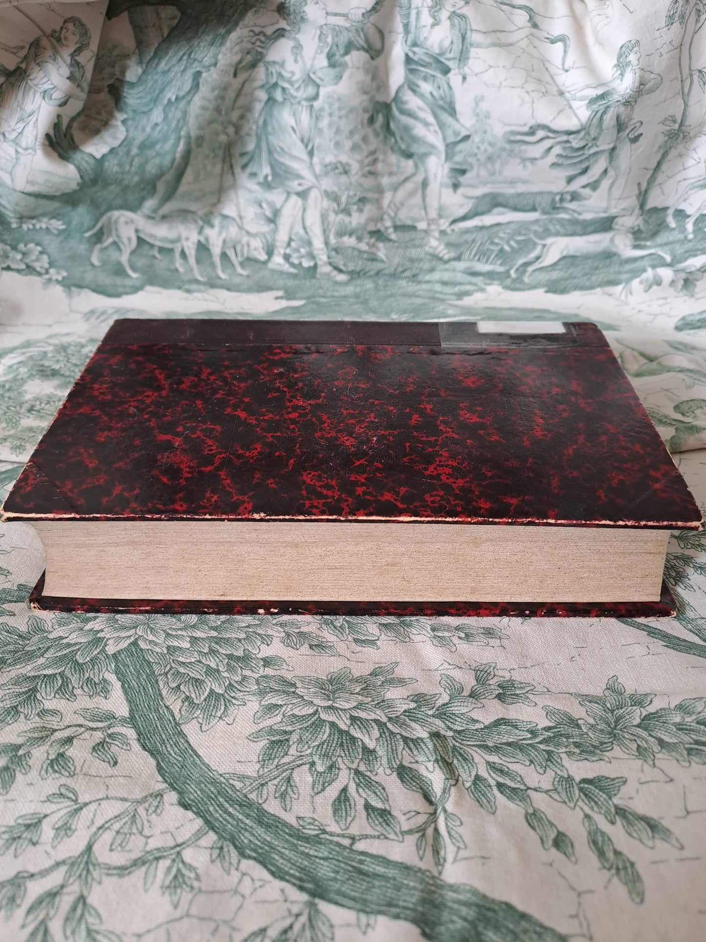 Vie de Saint François de Sales. 1856. Tome 1. 