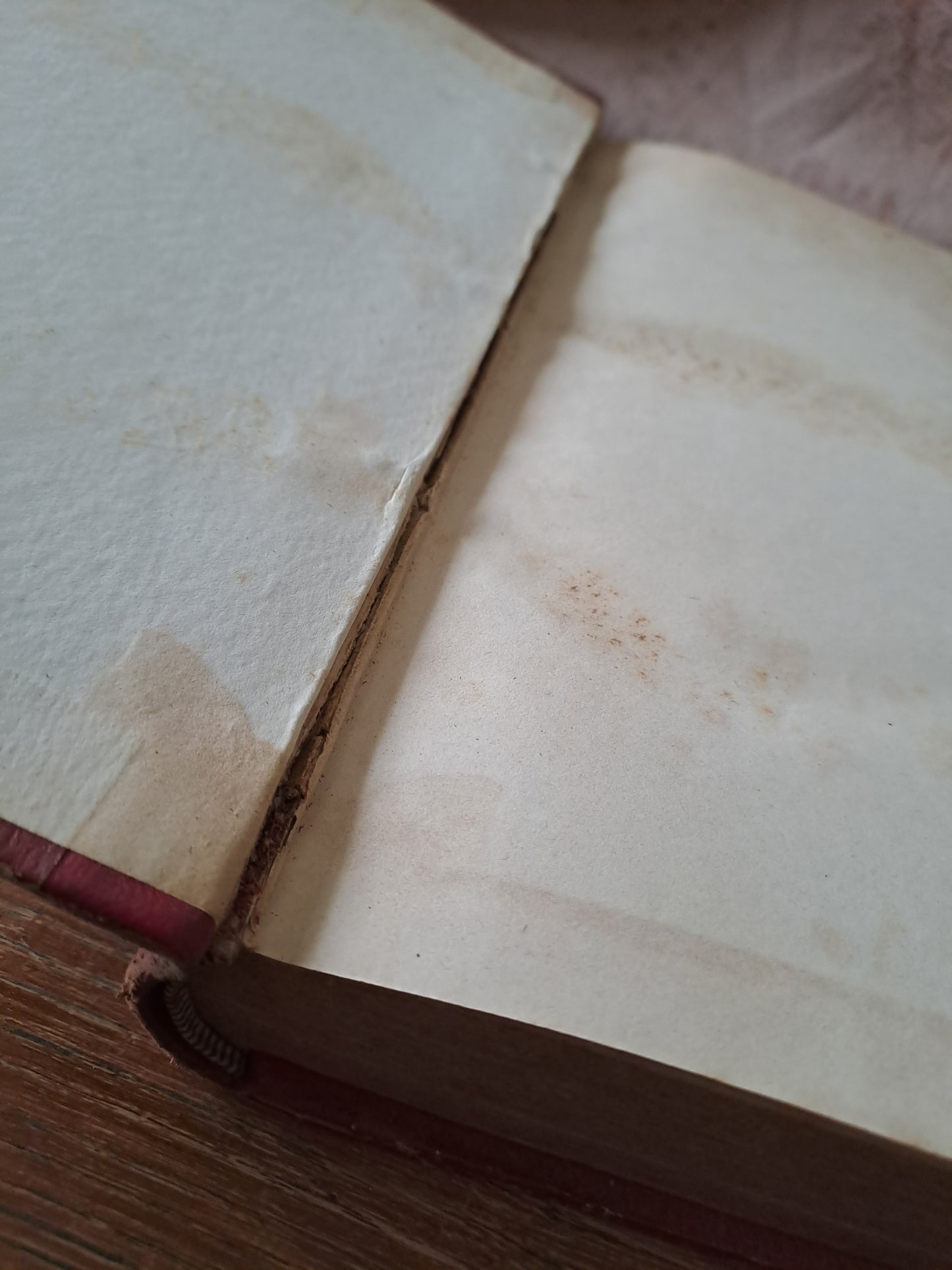 Conférences Notre-Dame de Paris. T3. 1855. Ancien livre vintage.