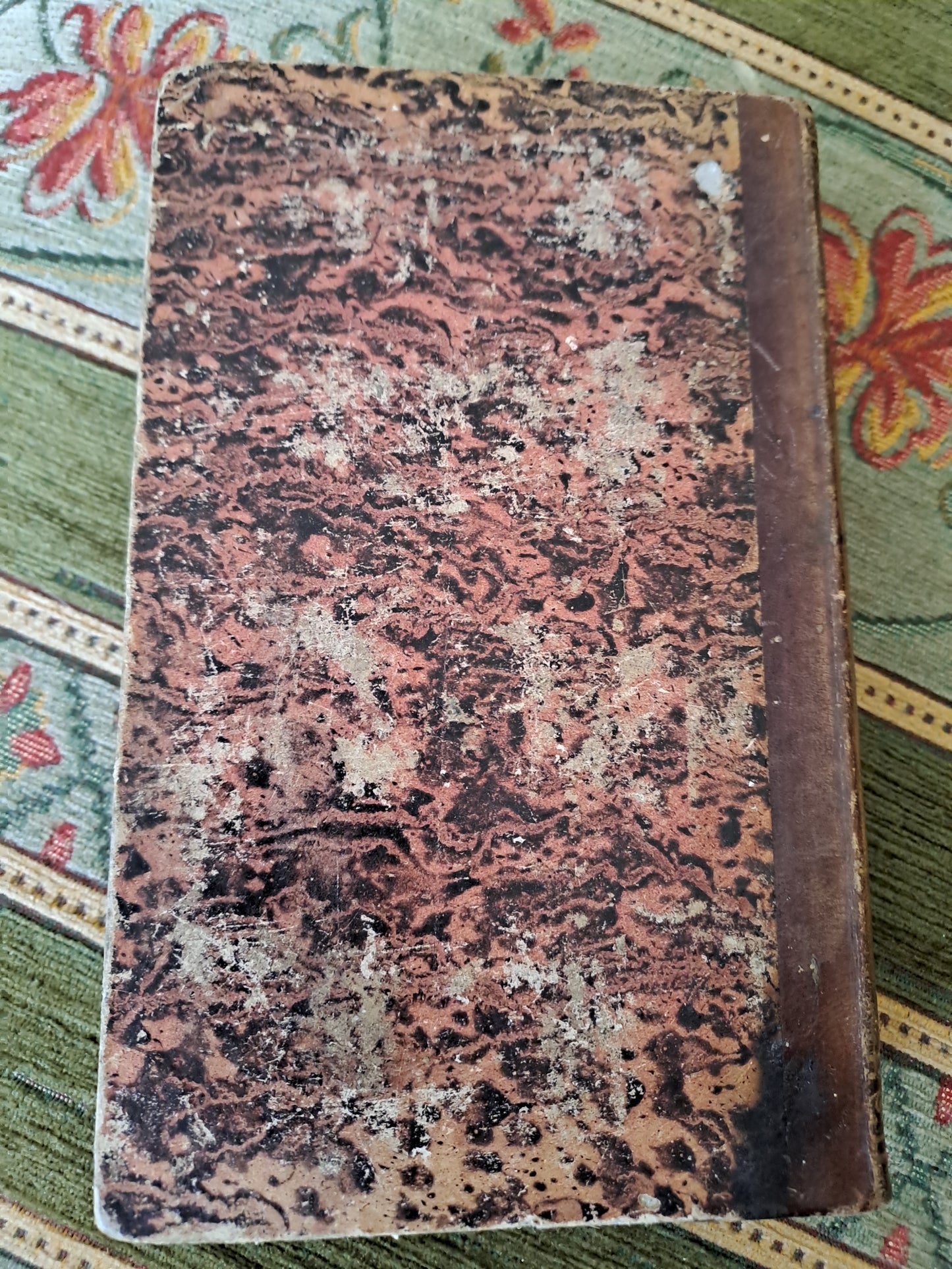 Bible. T10. 1835. R P De Carrières Commentaires De Menochius.