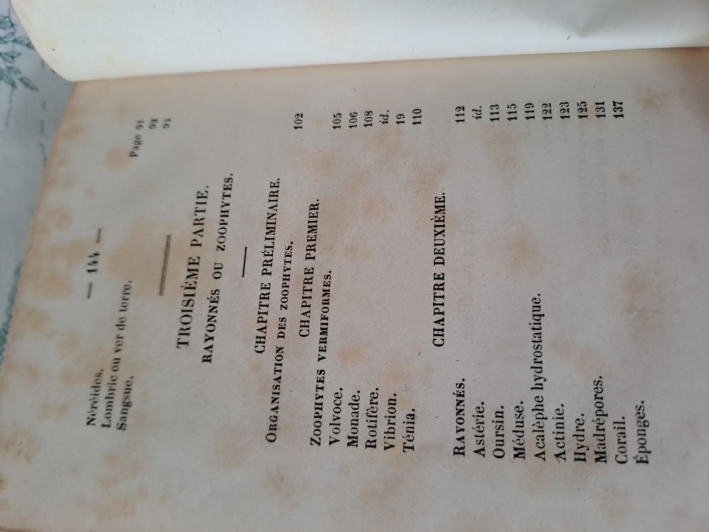 Insectes/ mollusques articulés. Nouveau spectacle de la nature ou Dieu et ses œuvres. 1842. Ancien livre vintage catholique.