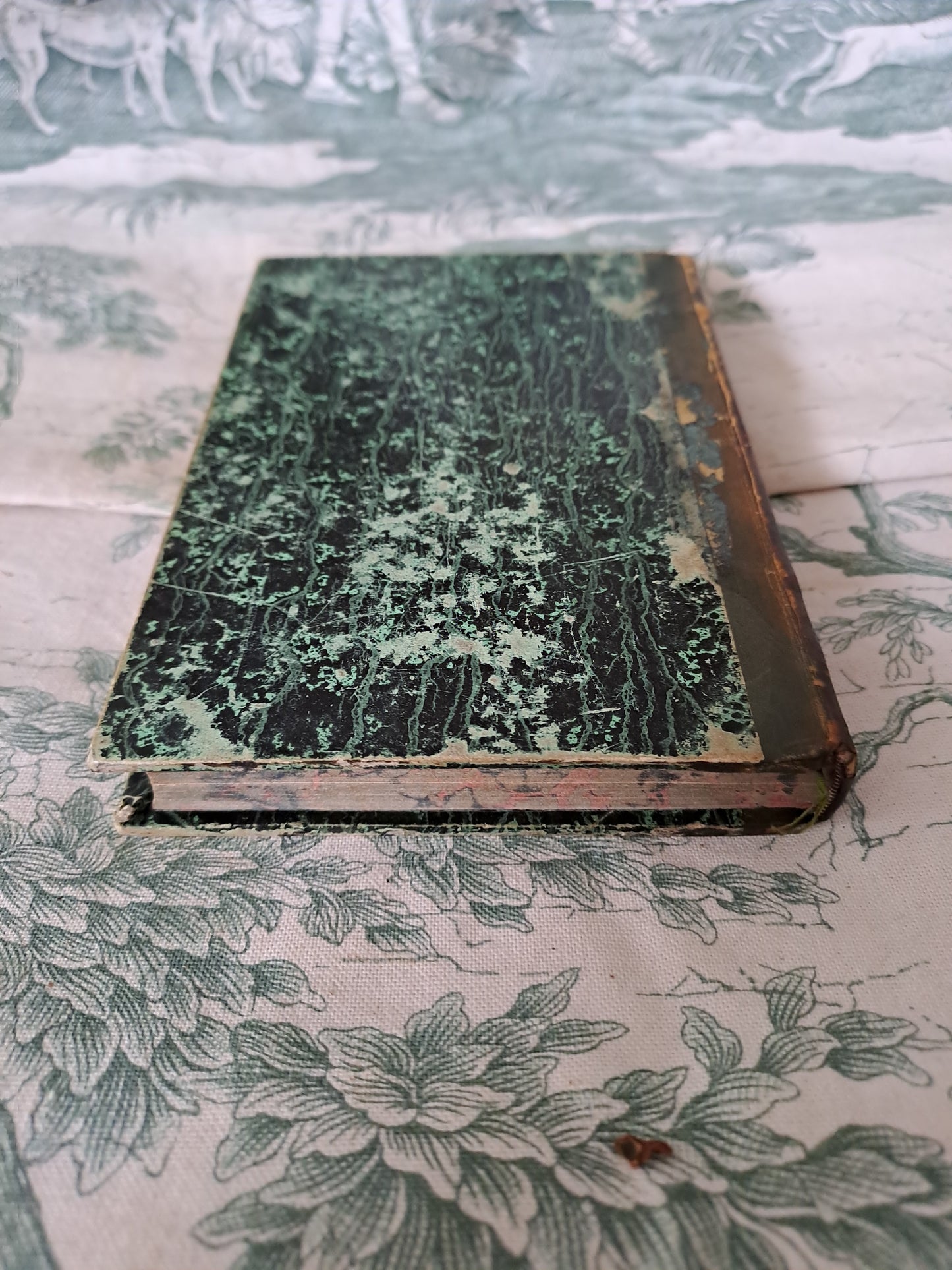 L'homme et mammifères.Nouveau spectacle de la nature ou Dieu et ses œuvres. 1842. Ancien livre vintage catholique.