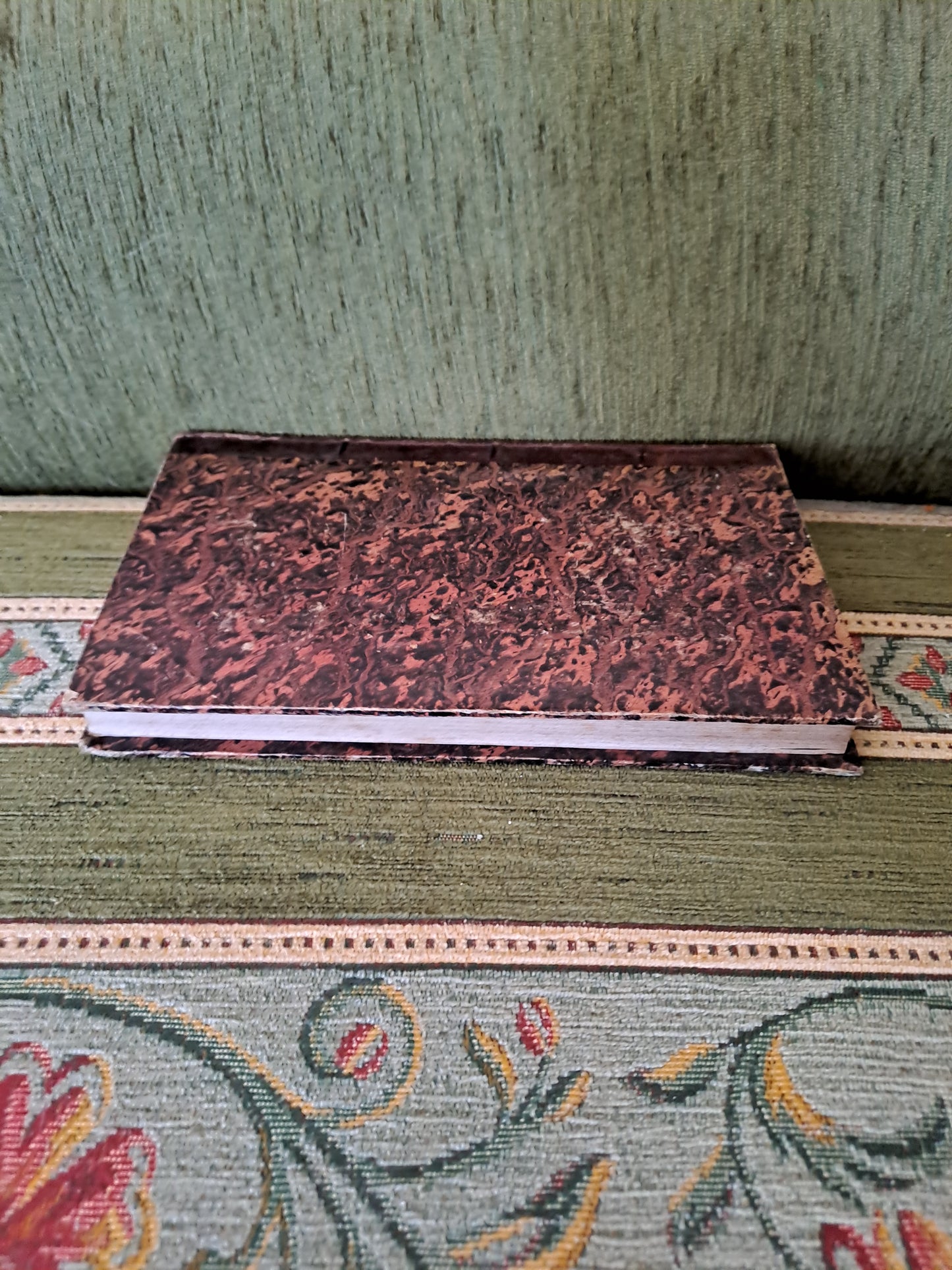 Bible T9. 1835. R P De Carrières Commentaires De Menochius.