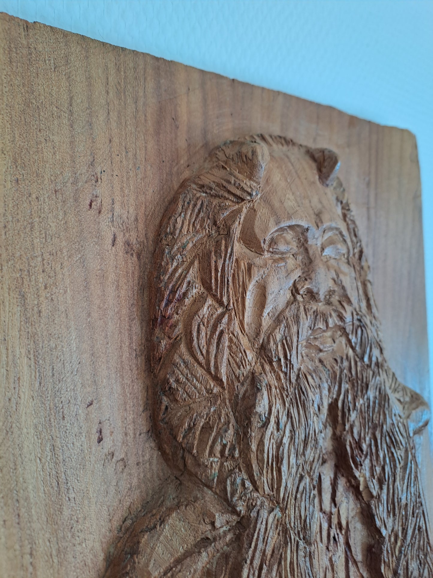 Panneau en bois représentant Moïse en bas-relief.