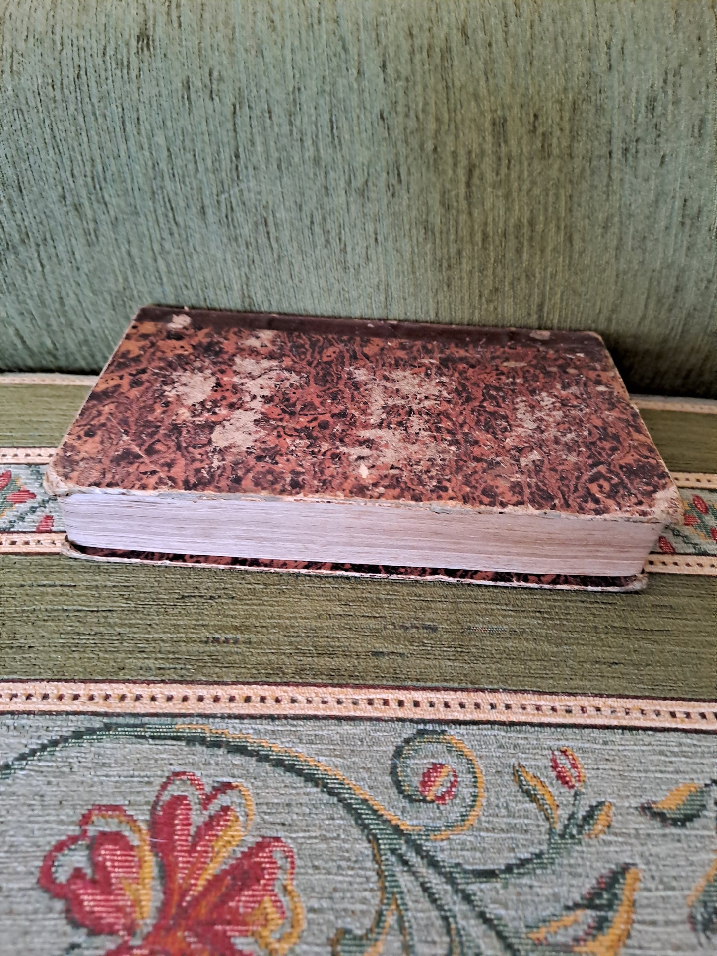 Bible. T10. 1835. R P De Carrières Commentaires De Menochius.