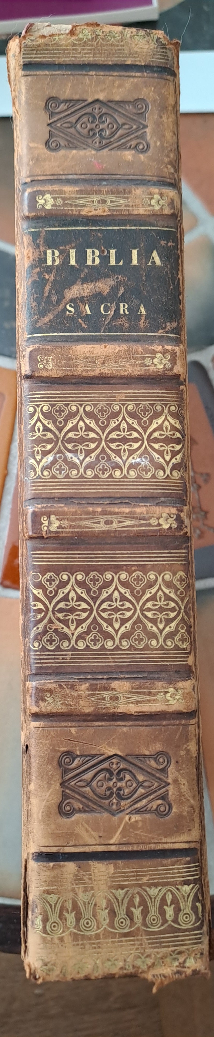 Biblia sacra Vulgate editionis Sixti V pontificus maximi Jessu recognita Clementis VIII Auctoritate edita. 1827.