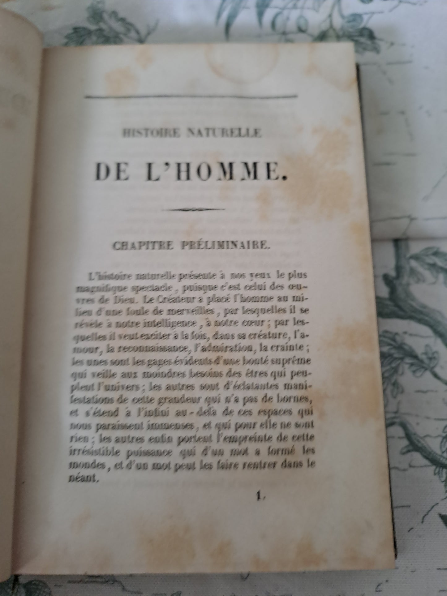 L'homme et mammifères.Nouveau spectacle de la nature ou Dieu et ses œuvres. 1842. Ancien livre vintage catholique.