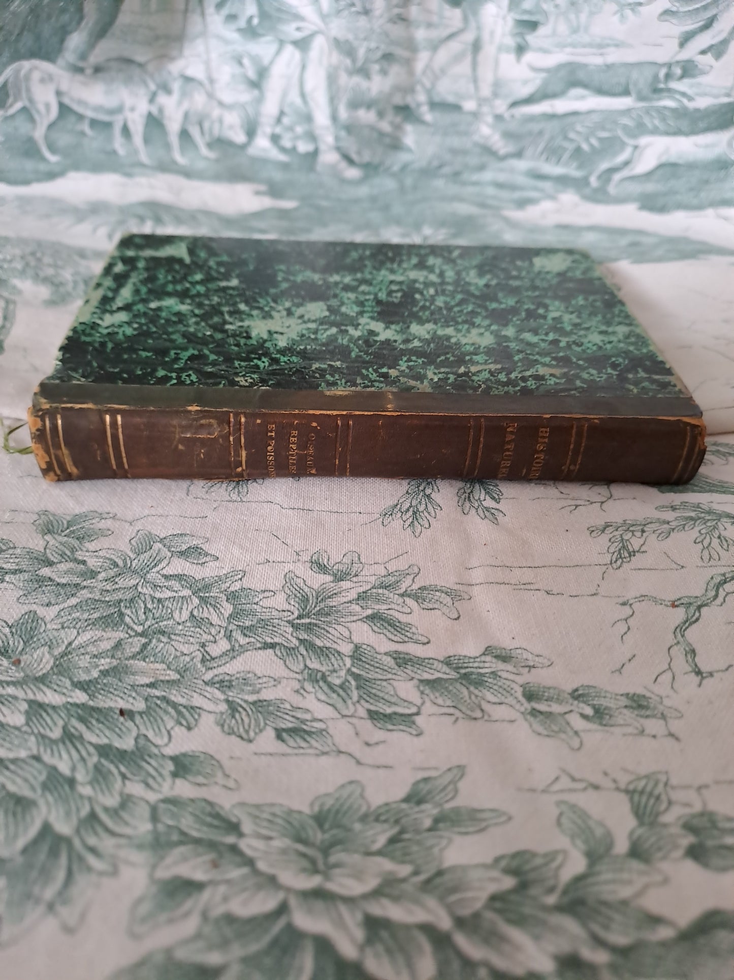 Oiseaux / reptiles et poissons. Nouveau spectacle de la nature ou Dieu et ses œuvres. 1842. Ancien livre vintage catholique.