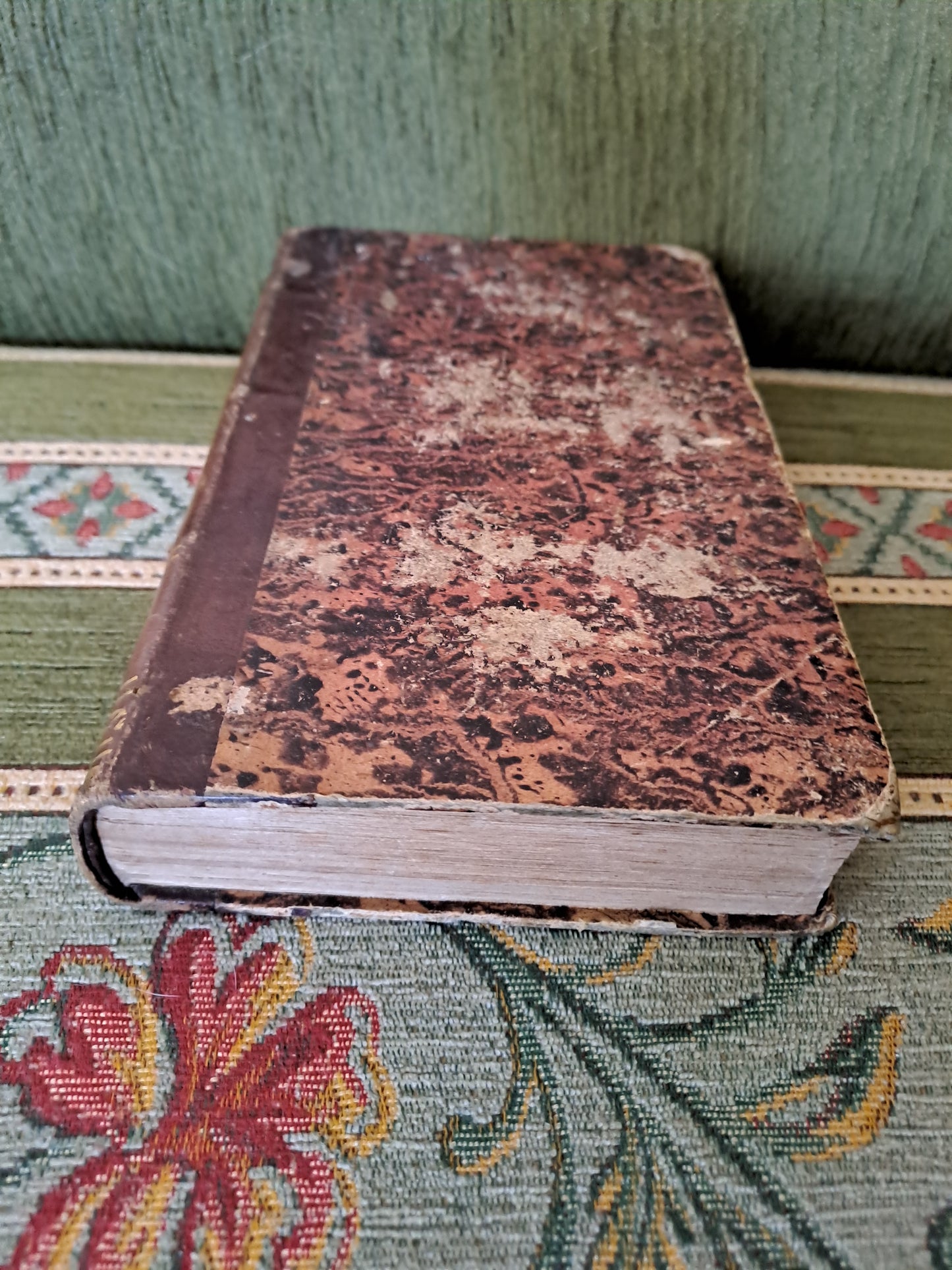 Bible. T10. 1835. R P De Carrières Commentaires De Menochius.